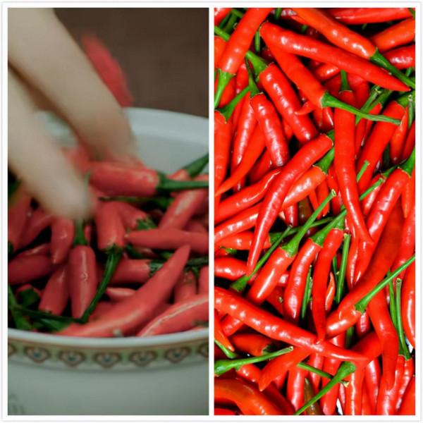 2021年亂花迷眼,5部好劇撐起國劇希望,5部爛劇誰該“當家”? 2021年亂花迷眼,5部好劇撐起國劇希望,5部爛劇誰該“當家”?