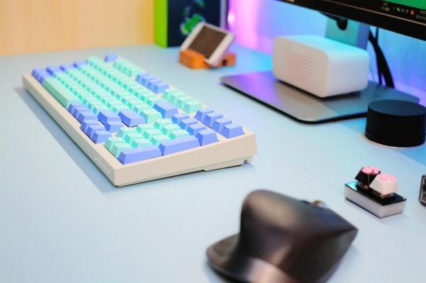 畢業級鍵盤，大L藍芽無線荷本配色 Leopold FC980MBT