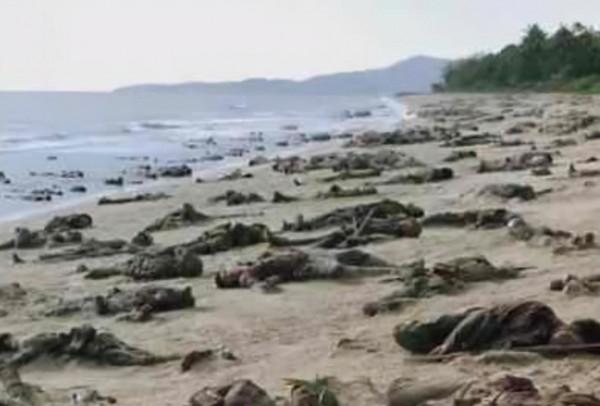 二戰離奇事件:上千名日軍被困孤島,未發生戰爭卻死傷殆盡 二戰離奇事件:上千名日軍被困孤島,未發生戰爭卻死傷殆盡