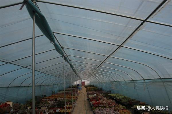 “多肉王子”宋凱的幸福生活