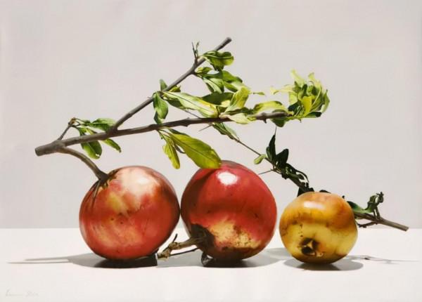 他畫的水果太寫實了,疤痕和褶皺都跟真的一樣,大寫的服氣 他畫的水果太寫實了,疤痕和褶皺都跟真的一樣,大寫的服氣