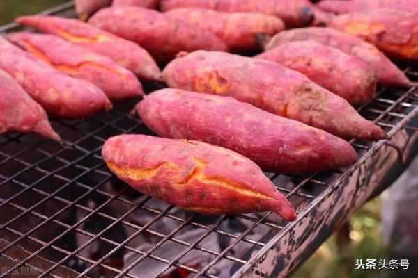 秋天,長肉“最猛”的6道家常菜,減肥的人從來不動,你應該知道 秋天,長肉“最猛”的6道家常菜,減肥的人從來不動,你應該知道