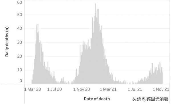 輝瑞公佈口服新冠藥：有效率89%！科學家發現新冠高風險基因訊號