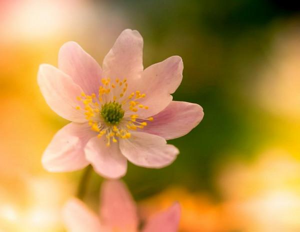 人的高階清醒：把不尊重自己的人，請出生命