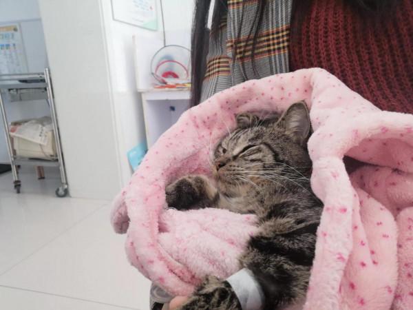 我的招財，感謝你曾經來過我的世界