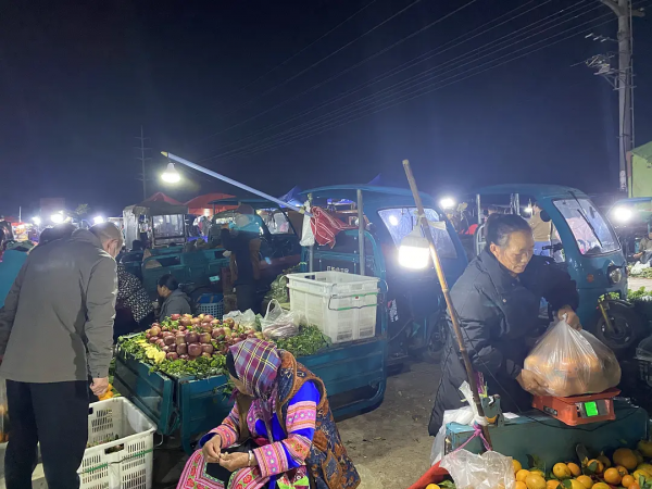雲南紅河蒙自，大樹寨夜市