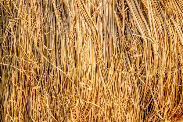 人工育蟲養禽三法