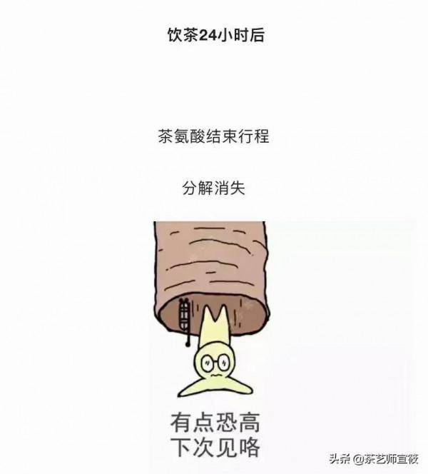 「茶在身體裡面幹了啥,分享一組生動有趣的漫畫」茶修學堂 「茶在身體裡面幹了啥,分享一組生動有趣的漫畫」茶修學堂