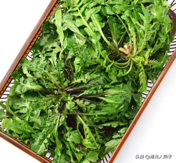 明日立春，多吃8種綠色的&OpenCurlyDoubleQuote;立春菜&rdquo;，清補美味，順應節氣而食