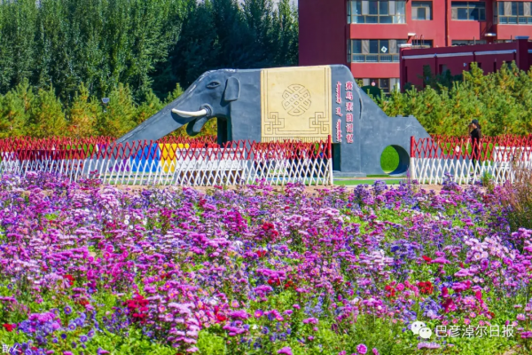 莫道秋風冷,正是賞菊時 莫道秋風冷,正是賞菊時