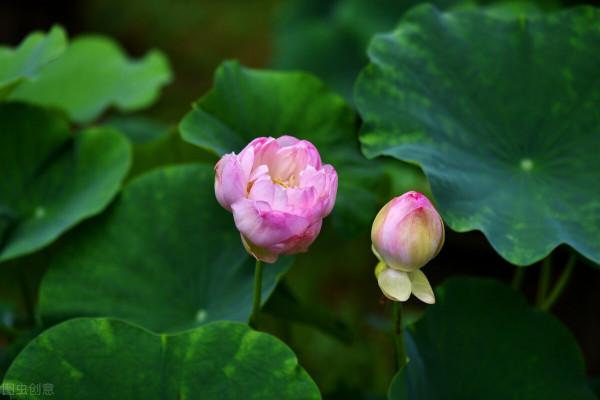 湖北冷知識：推薦湖北這23個世界之最和中國之最，你還知道哪些？