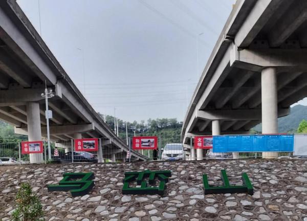 馬巒山的白梅花都開啦 馬巒山的白梅花都開啦