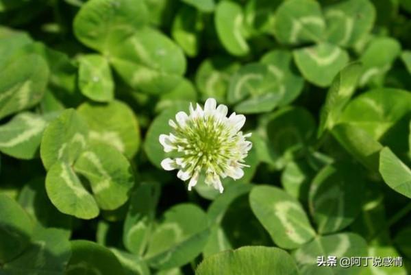 人到中年的幸福：家人可愛，心中無事，享受人間煙火