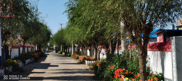 秋日鄉村遊,偏僻的小屯熱在哪兒? 秋日鄉村遊,偏僻的小屯熱在哪兒?