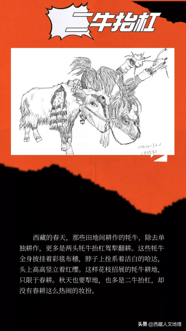 去犛牛博物館前，先收藏這篇文章