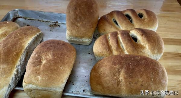 內蒙這麼大該怎麼玩？四大看點不容錯過，一次玩遍北境所有精髓