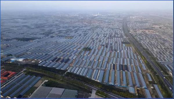 從蔬菜大棚到生鮮電商:“菜籃子工程”的25年變遷 從蔬菜大棚到生鮮電商:“菜籃子工程”的25年變遷