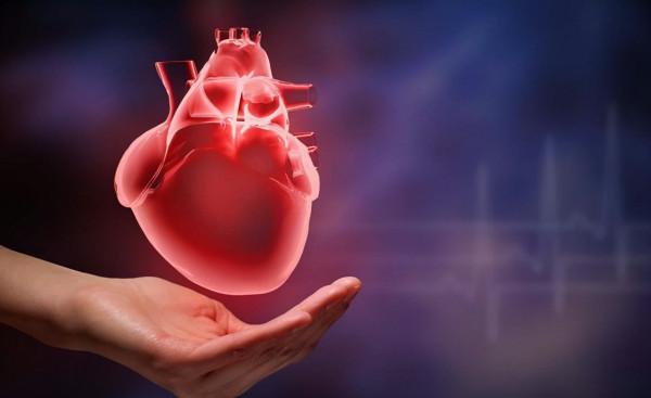 1984年,美國母親為給初生女兒續命,冒險移植狒狒心臟,最後怎樣了? 1984年,美國母親為給初生女兒續命,冒險移植狒狒心臟,最後怎樣了?