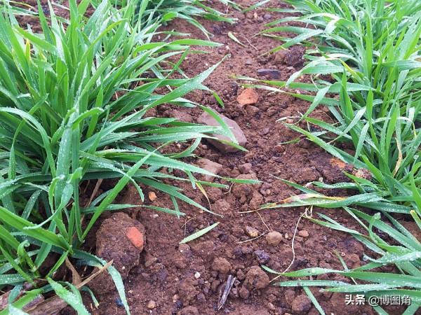 不虛此行:到了泌陽馬谷田撿不到隕石,就去下河灣冶鐵遺址看看吧 不虛此行:到了泌陽馬谷田撿不到隕石,就去下河灣冶鐵遺址看看吧