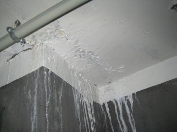 慶幸廚房吊頂前，發現了煙道在滲水，師傅叫我找樓上業主說理去