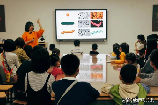 親子打卡!科學探索,細菌好有趣啊,參觀1000+件標本 親子打卡!科學探索,細菌好有趣啊,參觀1000+件標本