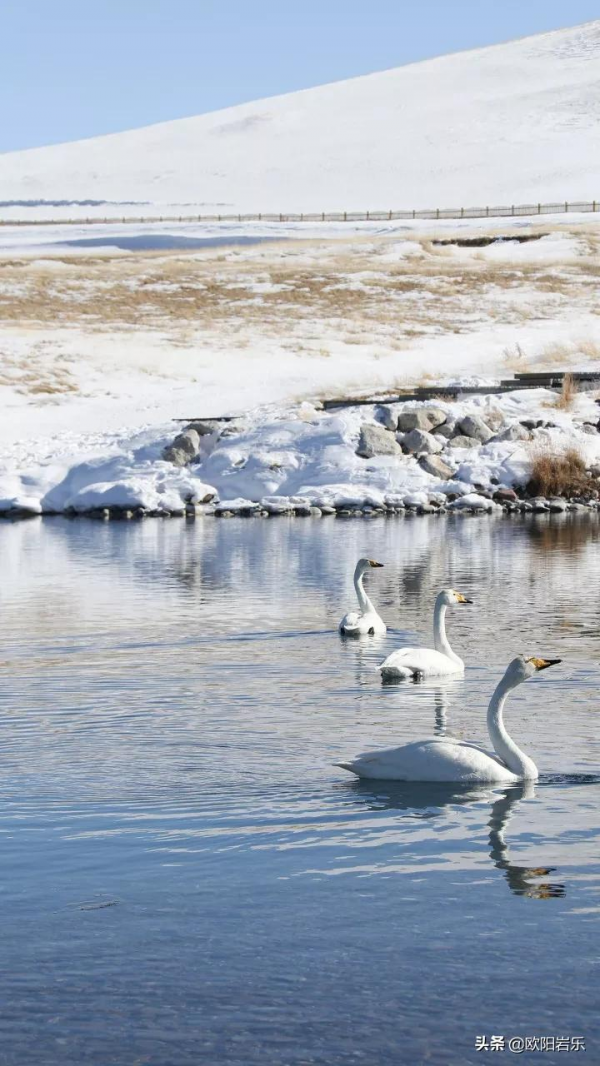 15個適合一個人去的旅行地，每個都有不一樣的驚喜，出發吧