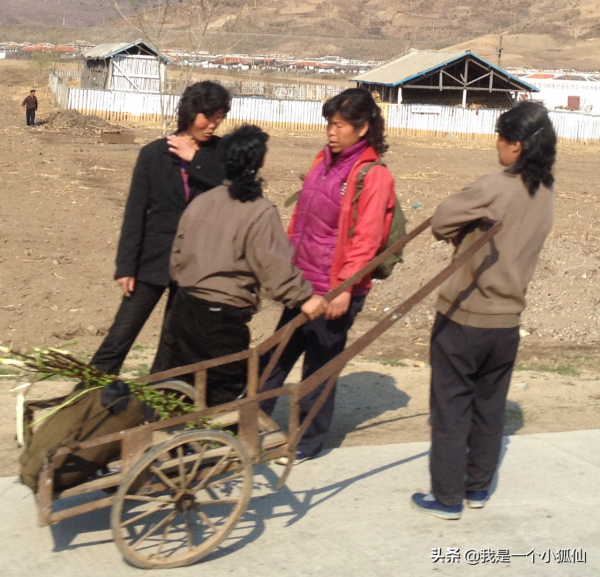 那年，公司將我從非洲安哥拉調到了朝鮮（36、再看朝鮮的運動會）