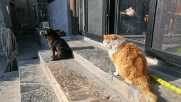 門頭溝自駕遊，燕家臺，懸空寺，京西第一紅村，詳細線路攻略