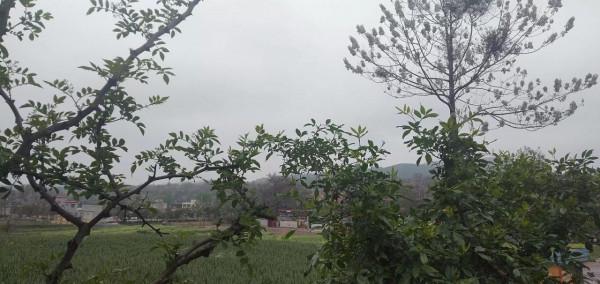 老李的朋友圈（短篇小說）