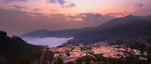 曾破吉尼斯世界紀錄！80萬畝花海齊綻放！這裡藏著國內最早的春天