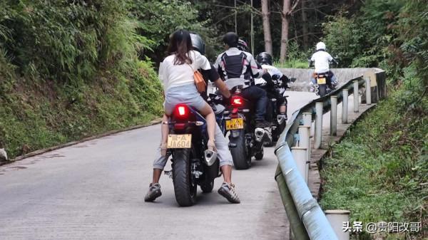 貴定臘利梯田黃了，農業觀光異常火爆