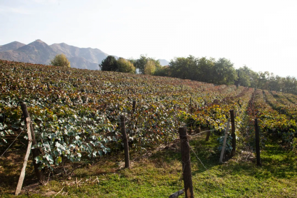 北方的邊境線 - 在雲峰大壩相望朝鮮