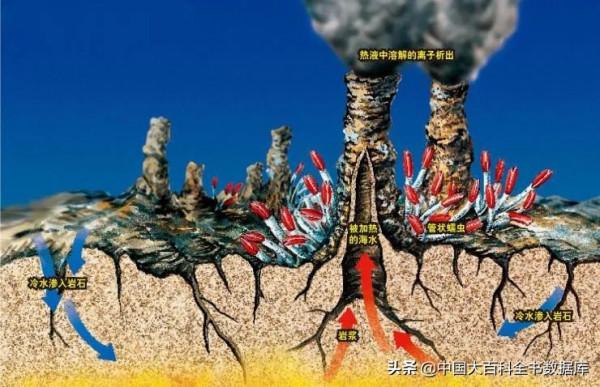 海底熱泉、冷泉生態系統：化能細菌支撐起的深海秘境