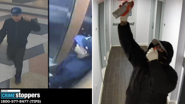 嫌犯在布朗士公寓假扮警察捆綁受害者 搶走2萬美元