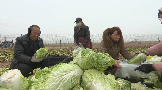 山東村民再上熱搜！網友：這不是第一次了