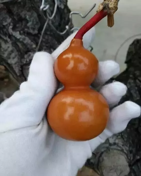 玩文玩，誰還沒犯過錯誤？