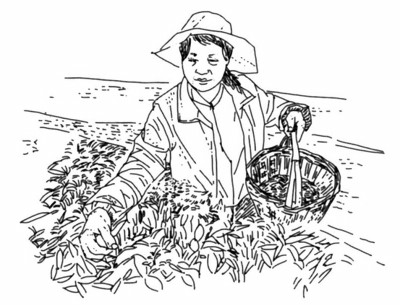 走向民間，發現另一個江南