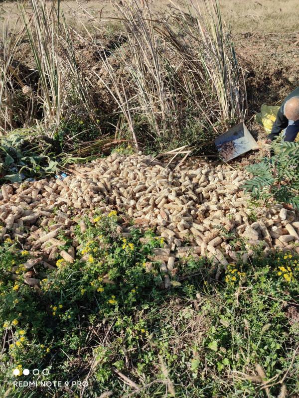 農村自在生活炊事用土灶還是煤氣灶？