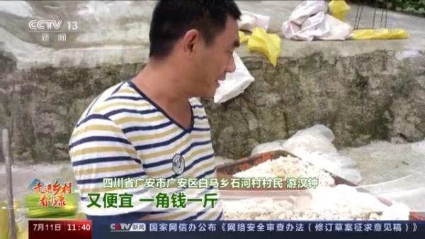 湖羊肉怎麼這麼好吃!跟著羊倌兒看看“羊村”的“巴適”生活 湖羊肉怎麼這麼好吃!跟著羊倌兒看看“羊村”的“巴適”生活