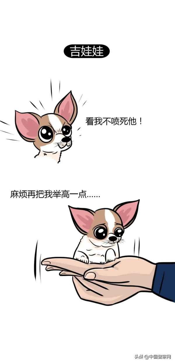 為什麼這些狗狗不能當警犬？