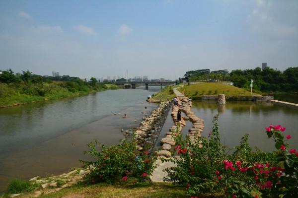 坪山印象（12）