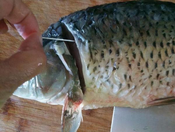 魚去腥,光抽魚腥線是不對的,處理好這4個腥味源,鮮美沒腥味 魚去腥,光抽魚腥線是不對的,處理好這4個腥味源,鮮美沒腥味