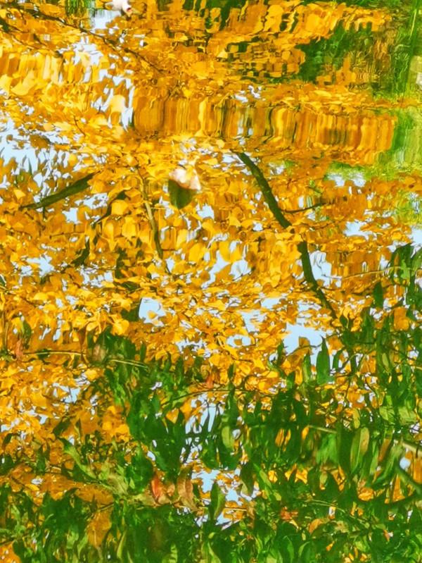 週末南北大溜達