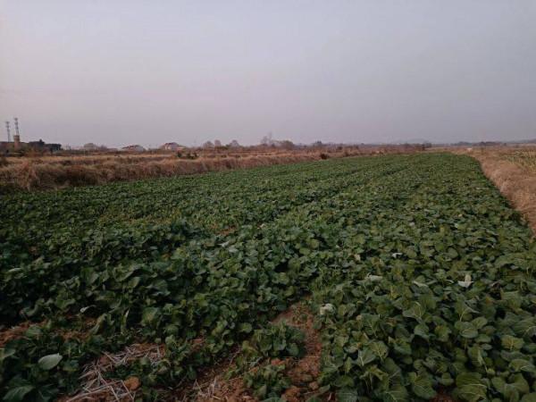 今日冬至:漫漫冬夜,烹雪煎茶,不枉人間百年 今日冬至:漫漫冬夜,烹雪煎茶,不枉人間百年