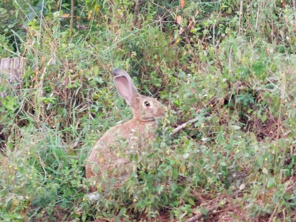 摩托周邊旮旯遊——尋朱元璋出家之於皇寺 摩托周邊旮旯遊——尋朱元璋出家之於皇寺