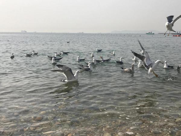 老年人的日常生活