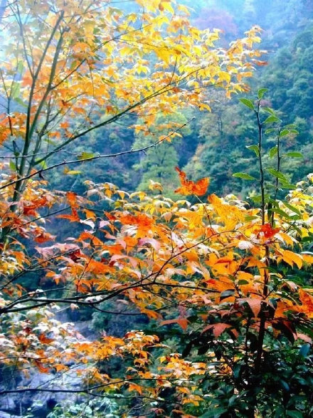 浙西秋韻美不勝收