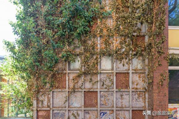 牆布髒了該怎麼處理