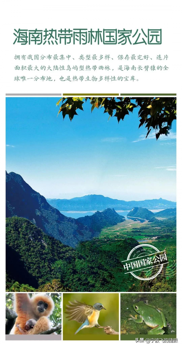 美國黃石的13倍！我國首批國家公園正式官宣，驚豔世界的風景來了