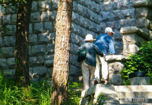 建議老年人：不管到哪旅遊，儘量帶上這6樣東西，關鍵時有大用處